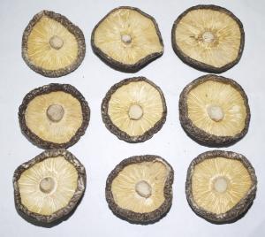 原木童香菇4-5薄菇